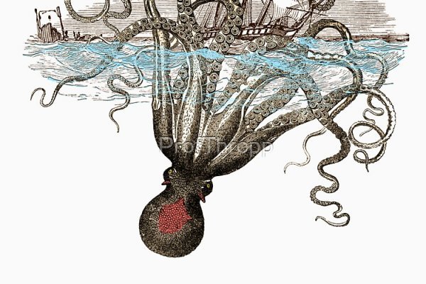 Kraken19at
