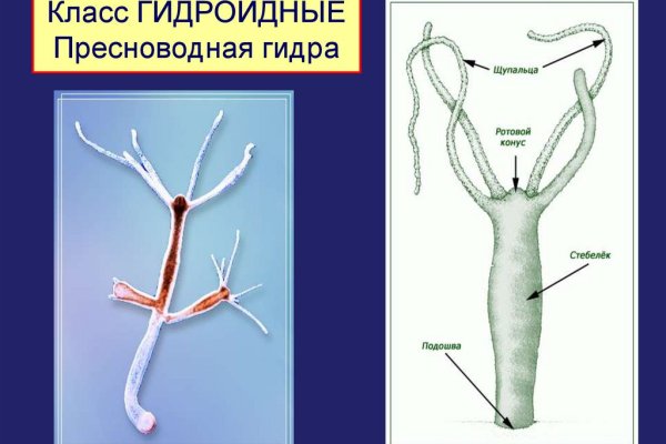 Что такое кракен шоп