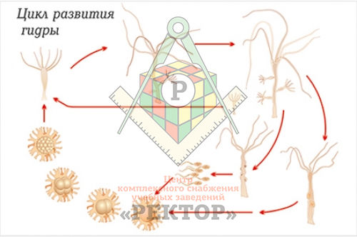 Kra50.at Вход на сайт главная страница